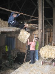 sommer_herbst_2009 0 (1)